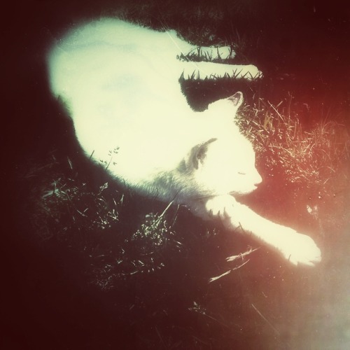 joyforachel: hold my hand while I dream