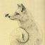 foxhaven