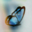 aliceboreal1s