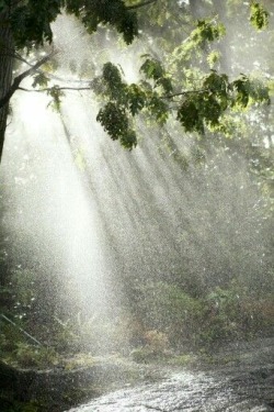 etherealclit:sun showers are so pretty!