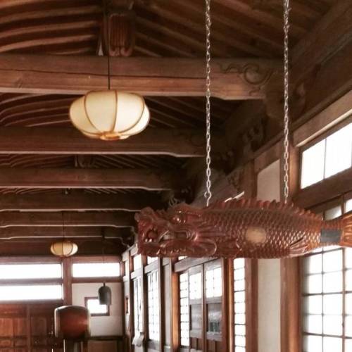 Rankando Temple inside Hoonji temple, Morioka ^^ &mdash;&ndash; #japan #japanese #asia #日本 #