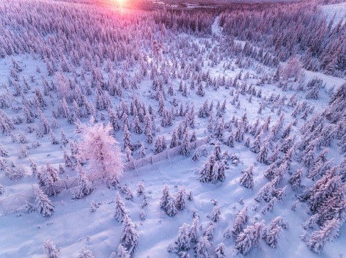 landscape-photo-graphy:Gorgeous &amp; Ethereal Aerial Photographs of a Snowy Forest in Finland b