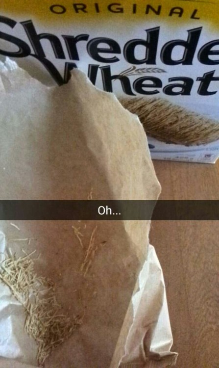 iloatheyoutoo:  ohnomatthew:  pansysky:  spookytox:  reaill:  grimfemme:  I just wanted to eat breakfast ;(  welp now we know the distinction between the two   Have….have people…not eaten shredded wheat before? The regular sized ones? You put it in