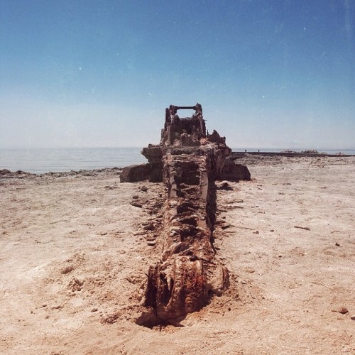 Man vs Wild (at The Salton Sea)