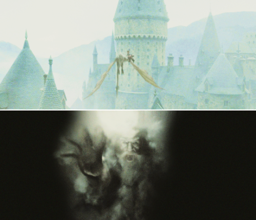 knockturnallley:“You said to us once before,“ said Hermione quietly, “that there was time to turn ba