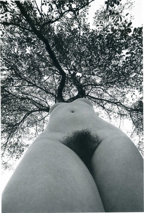 Porn Pics one-photo-day: Lucien Clergue