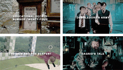  order of the phoenix + chapters 