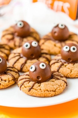foodffs:  Halloween Spider Cookies are a