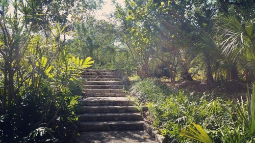 clarify-your-world: Garden of the groves in Freeport bahamas.