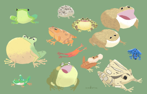 cinderoo:frog friends