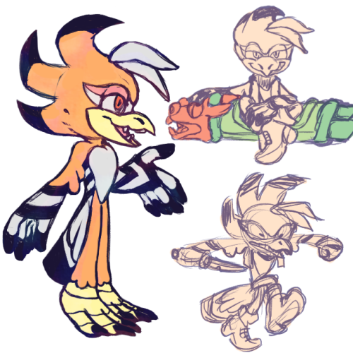 Sometime last year I ended up playing with one of those classic old ‘sonic oc base maker’ dress up f