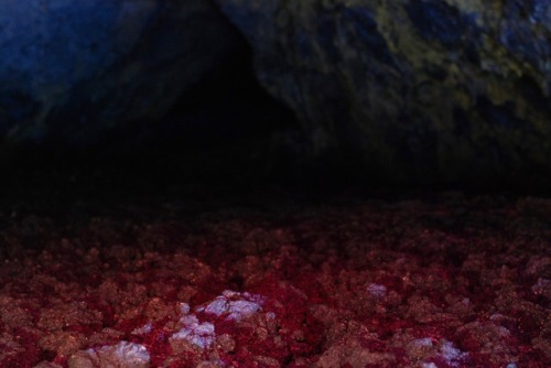 adventurous-watermelon:Lava Beds National Monument. The greatest concentration of lava tube caves in