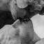jaded-blick