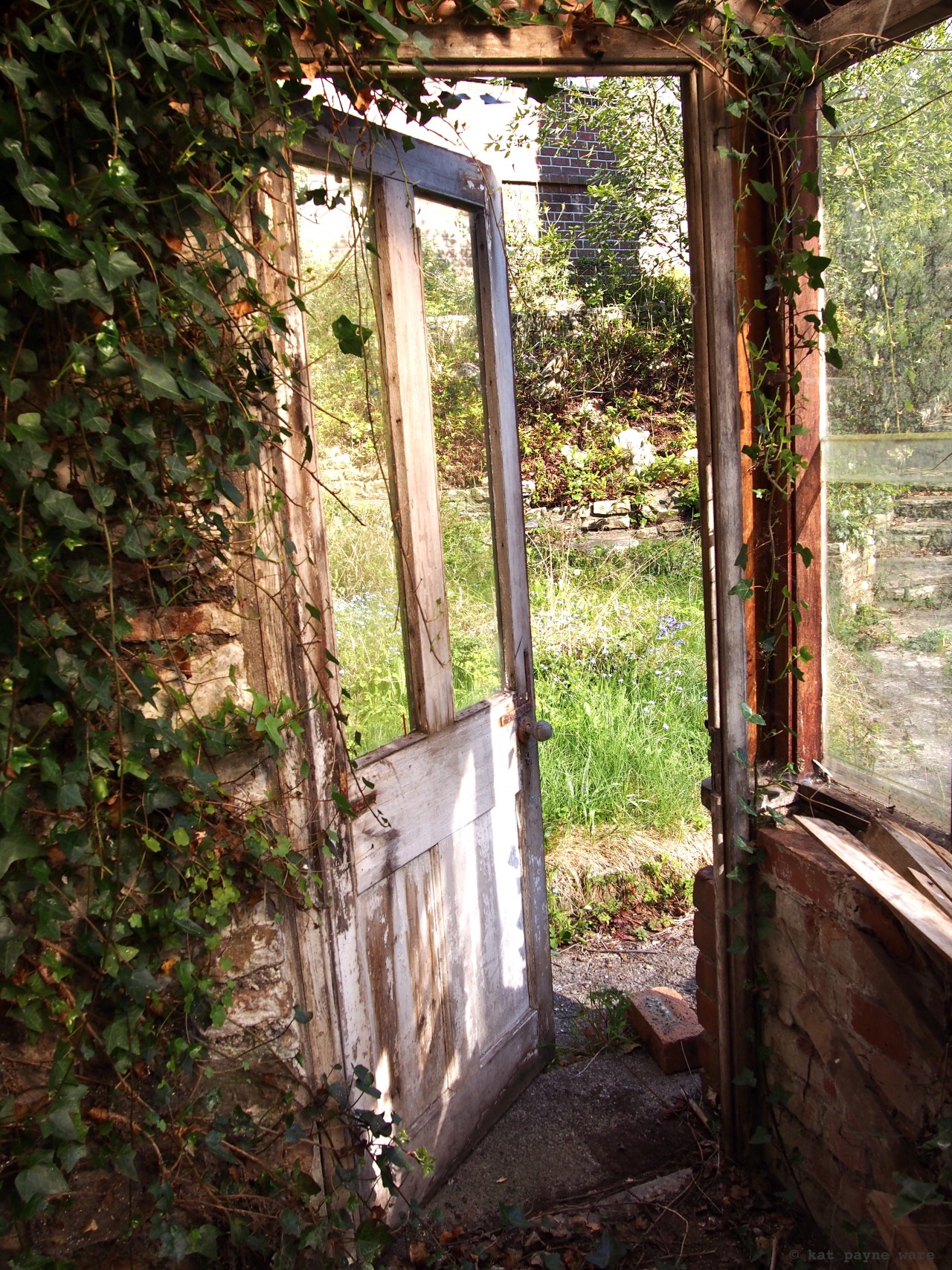 sassygapeach79:upstatej Great pics sassygapeach79, nature taking over!