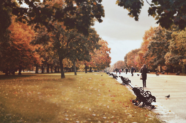 englishsnow:   Indea Vanmerllin || Hyde Park  