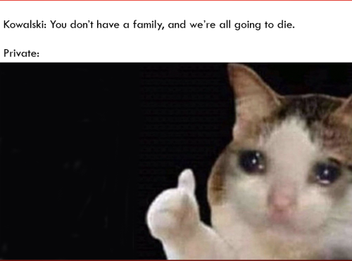 Please Enjoy Some More Penguins Memes! :D