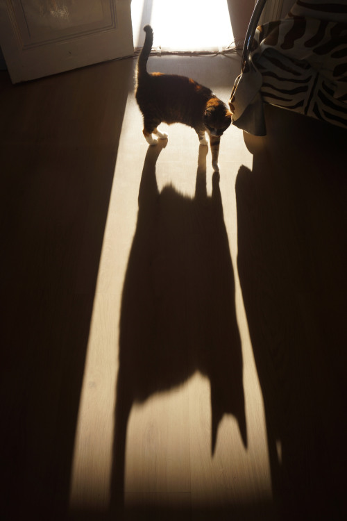dontrblgme404:Bouckje and her shadow. | Maria Emanuela Putman | Flickr
