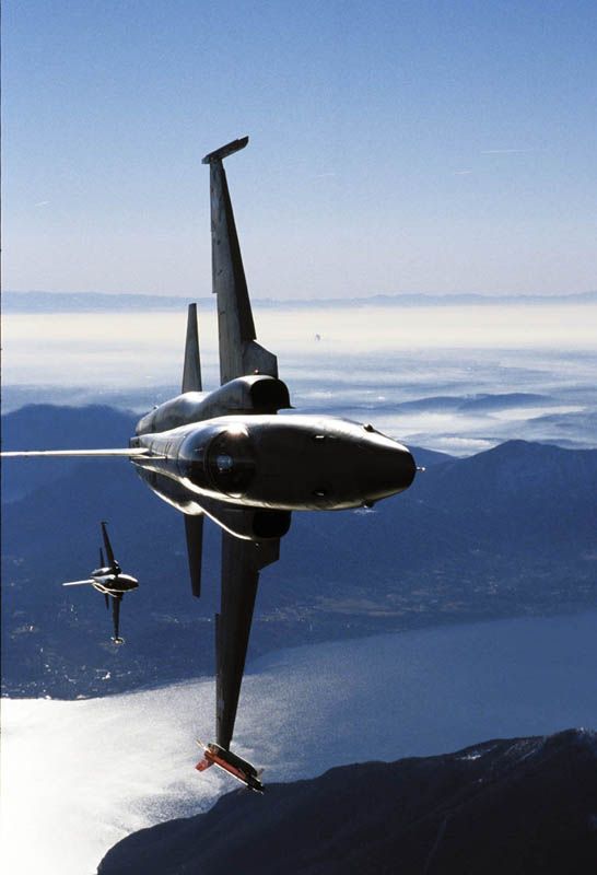Eyes to the Skies