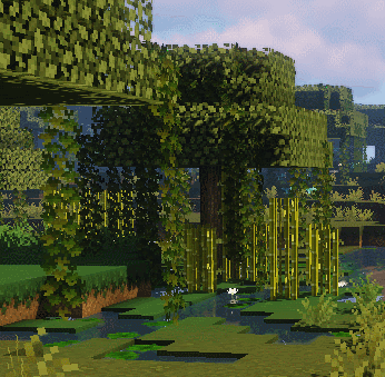 swamp scenery 