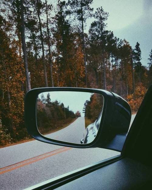 Absence makes the heart grow fonder&hellip; or so I&rsquo;ve heard. #filmfromtheheart #autum