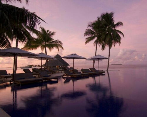 Porn Pics soleilglow:  Conrad Maldives // Rangali Island,