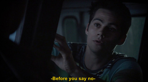 sterek