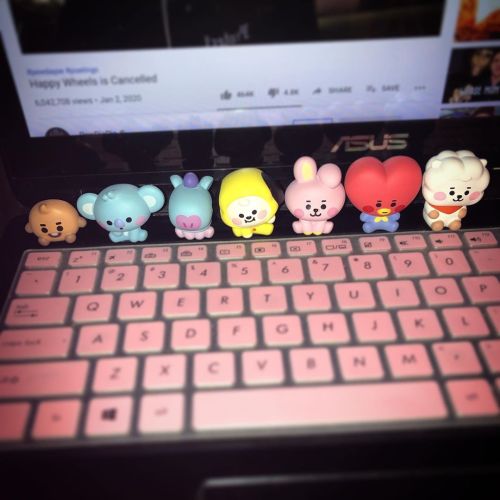 They’re home #babybt21 (at Hyde Park, Massachusetts) https://www.instagram.com/p/B7UWRDupq0L/?igshid