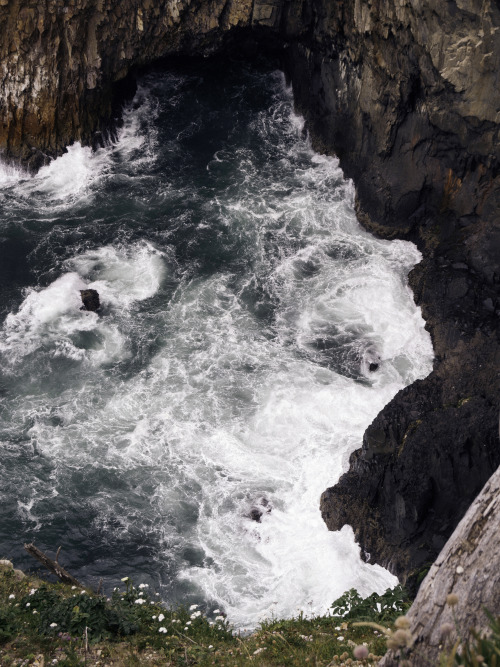 kovthephotographer:  Oswald West State Park, Oregon Smuggler’s Cove Oregon Coast Trail Treasur