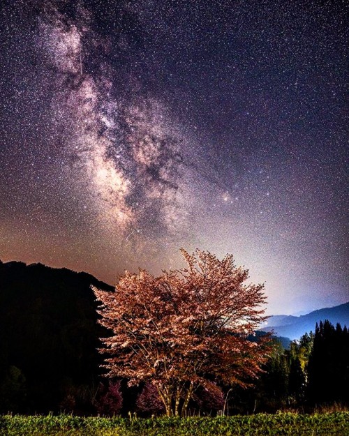 The Milky Way In Nagano, Japan.