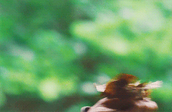 itsfinnick:   The best hunter I know.       