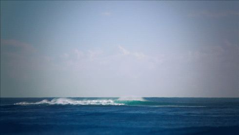 surfing-in-harmony:  🌊