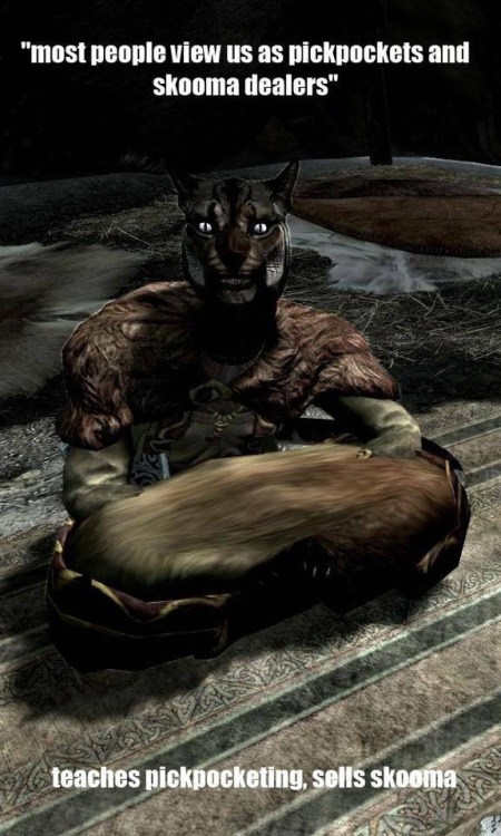 hiddenskyrim: Poor Khajiit…