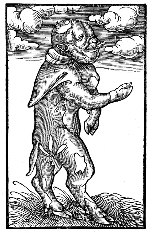 Lucas Cranach the Elder, Monk’s Calf, a caricature attacking the excesses of the monks, ca. 15