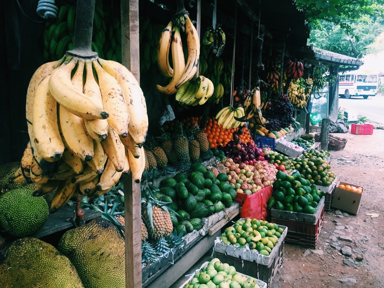 eartheld:  amant-terram: Roadside markets = yummy road trips 🍌🍎🍏🍊🍋🍒🍇🍉🍓🍑🍈🍌🍐🍍🍠🍆🍅🌽
