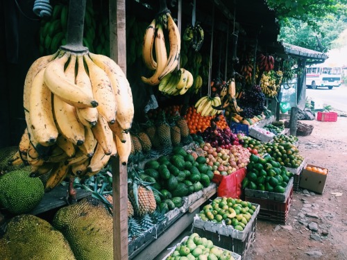 tamarhope:  Roadside markets = yummy road trips