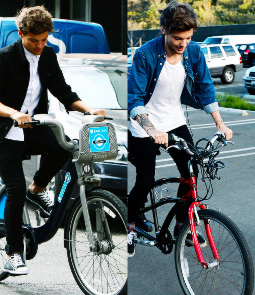 louisquinnzel:  2012 / 2013 