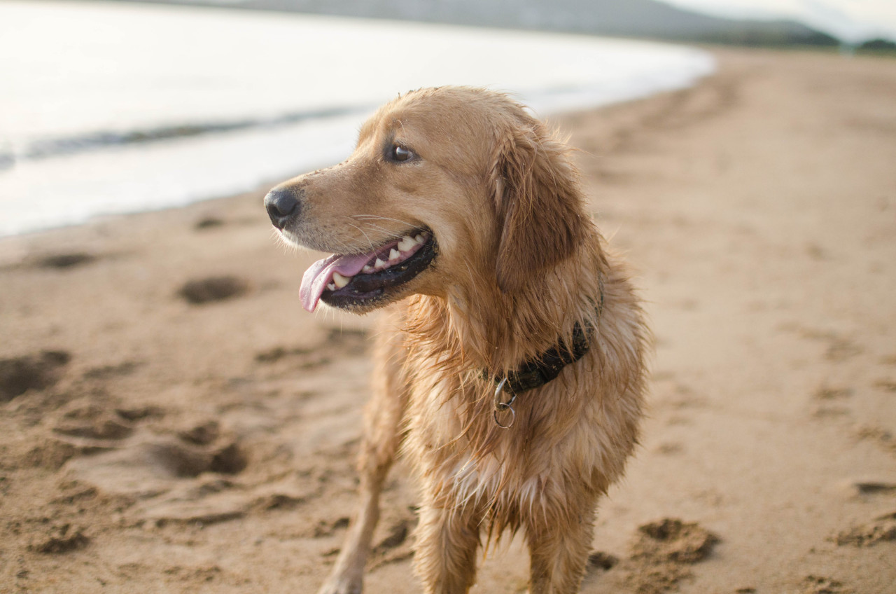 he looks at the ocean how i look like him