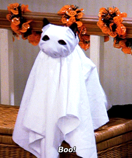 Halloween. Is It Just A Date On The Calendar That People From England Don't Know About? Or Is It A State