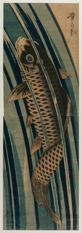 cma-japanese-art: Carp Ascending a Waterfall, Keisai Eisen, early or mid-1830s, Cleveland Museum of 