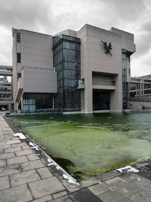 Roger Stevens building and ice