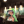 snowdrop-kikken: