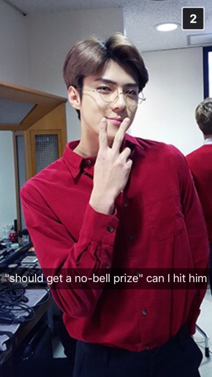 chanyeol and sehun are so punny!!!1!