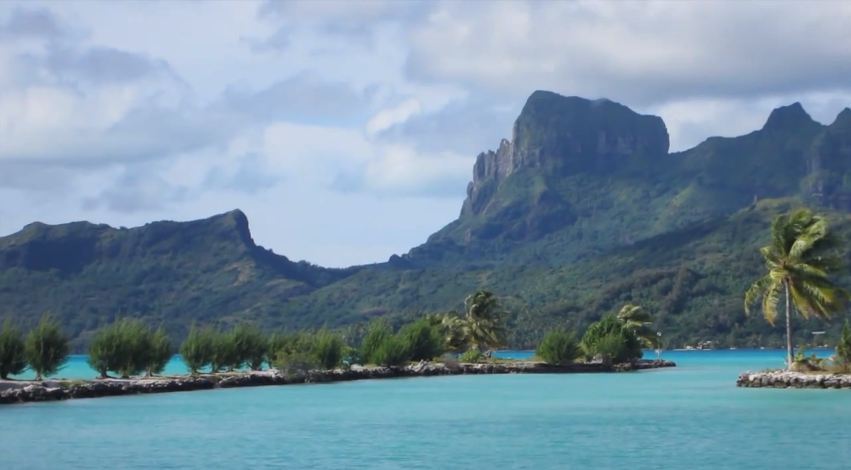 south-pacific:  personal // tropical