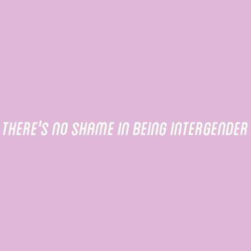 [Image Description: A lavender color block with text that reads &ldquo;there&rsquo;s no sham