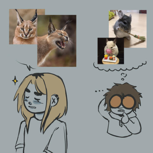 If Keith Was An Animal, What Would He Be?
