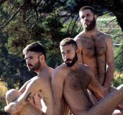 hairyfuckers:“ If two wrongs don’t make a right, try three.”Laurence J. Peter