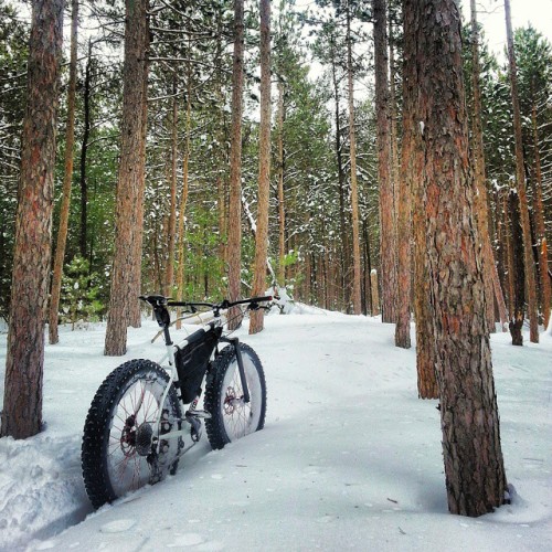 333psi: Carving some new trails. #fatbikes #fatbike #fatbiking #loves_bikes #bikeporn #lifeisatrail 