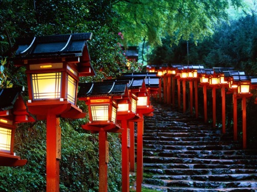 coolthingoftheday: Kumano Kodō is a series of pilgrimage routes through Japan’s largest p