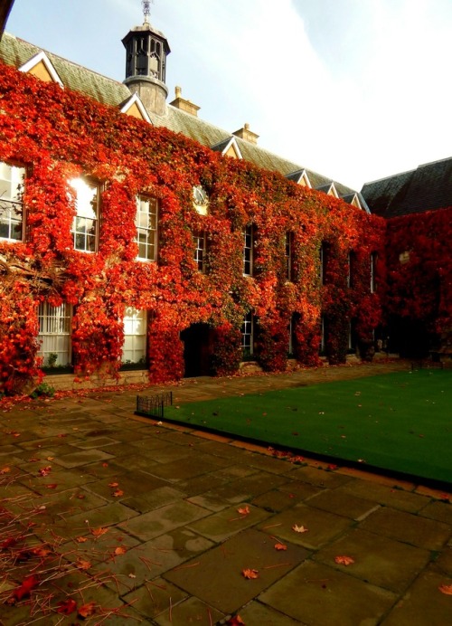 Sex fuckitandmovetobritain:  England: Oxbridge pictures