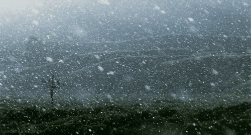 cravehiminallways212:  idiehp:“I wonder if the snow loves the trees and fields, that it kisses them so gently? And then it covers them up snug, you know, with a white quilt; and perhaps it says “Go to sleep, darlings, till the summer comes again.”